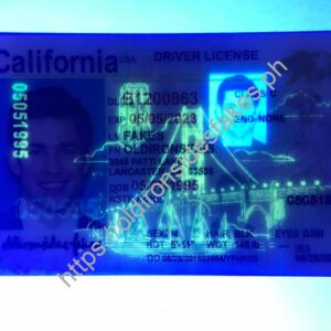 California Driver License(New CA O21)