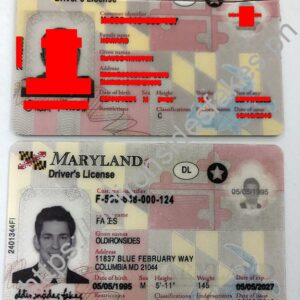 Maryland Driver License | old ironside fake ids